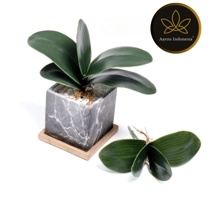 Aaron - Daun Anggrek Latex Jumbo Dekorasi/ Daun Anggrek Artificial/ Daun Pandan Latex