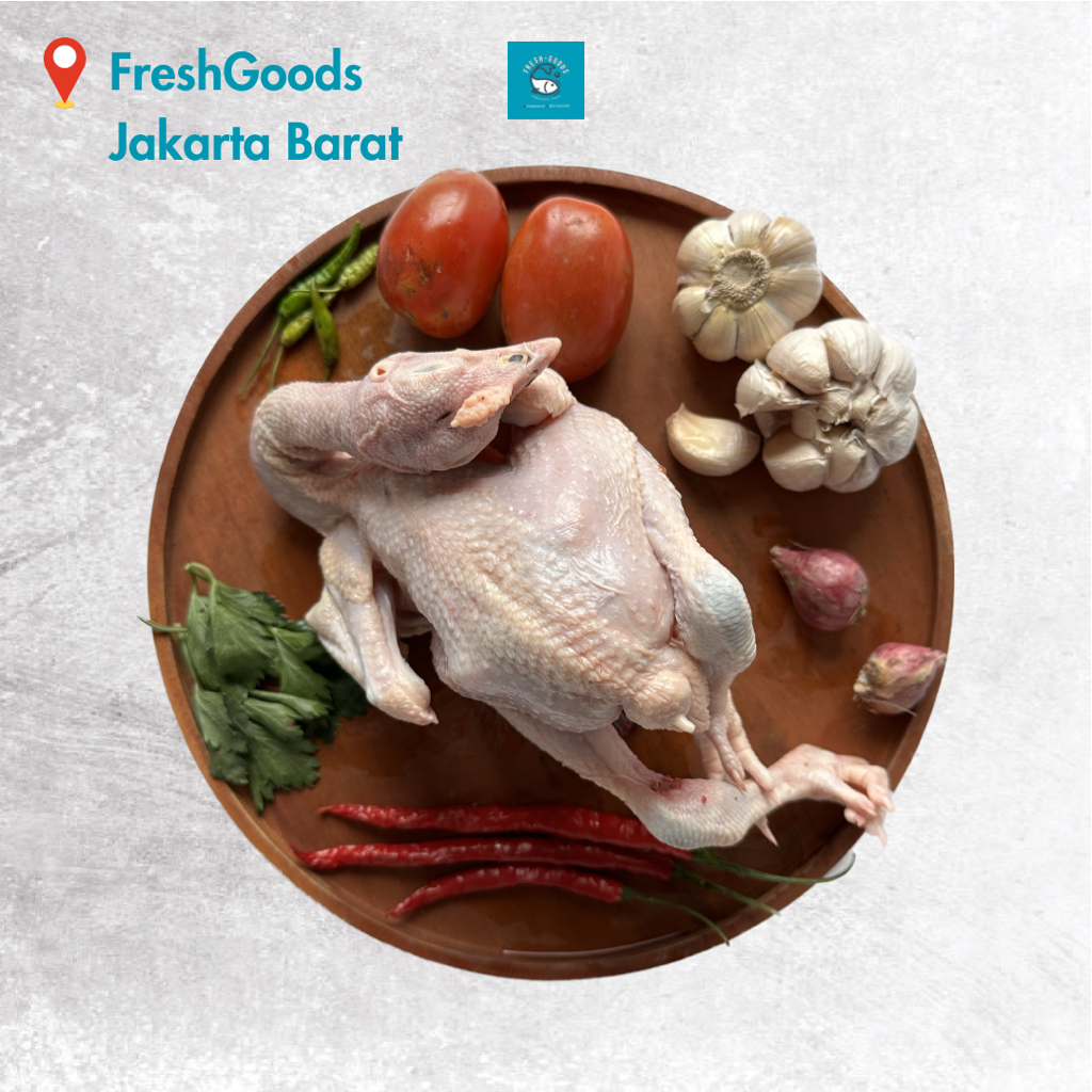 

AFGC Paket Bundle 3 Ekor Ayam Kampung Asli Segar Premium Dijamin Berkualitas - Freshgoods.idn