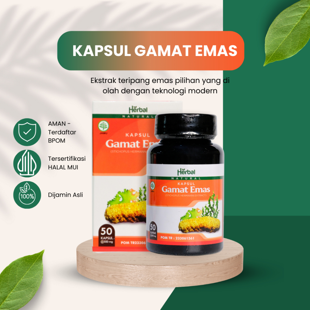 Kapsul Gamat Emas - Ekstrak Teripang Emas