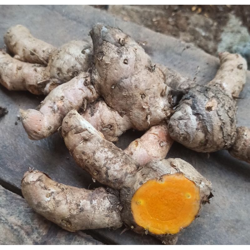 

Temu Lawak Fresh 1 kg