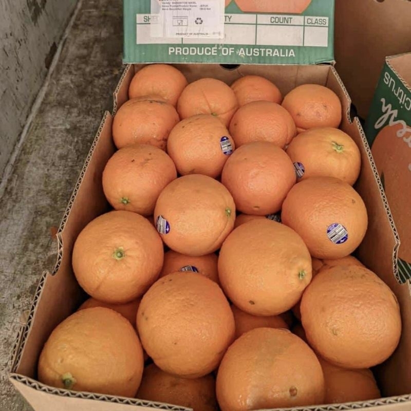 

Jeruk sunkist 500 gram