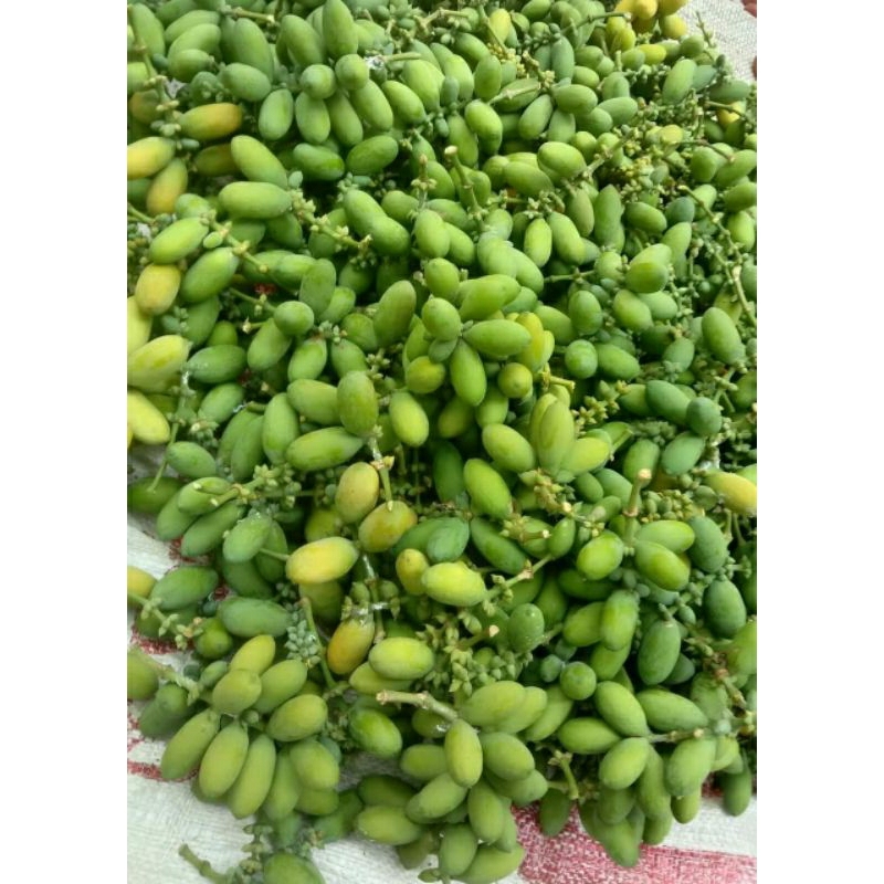 

melinjo fres cocok buat asem asem