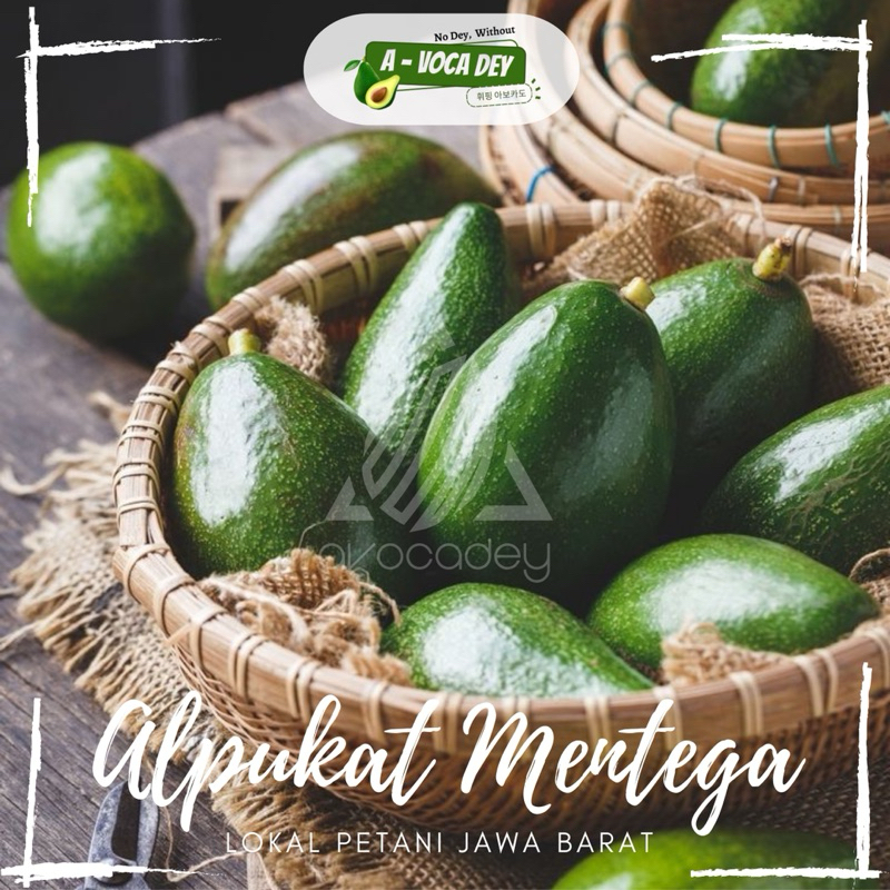 

ALPUKAT MENTEGA LOKAL 1 kg