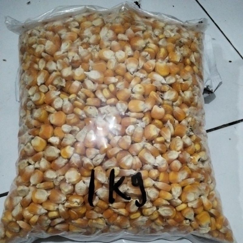 

Jagung Pakan ayam Murah 1kg