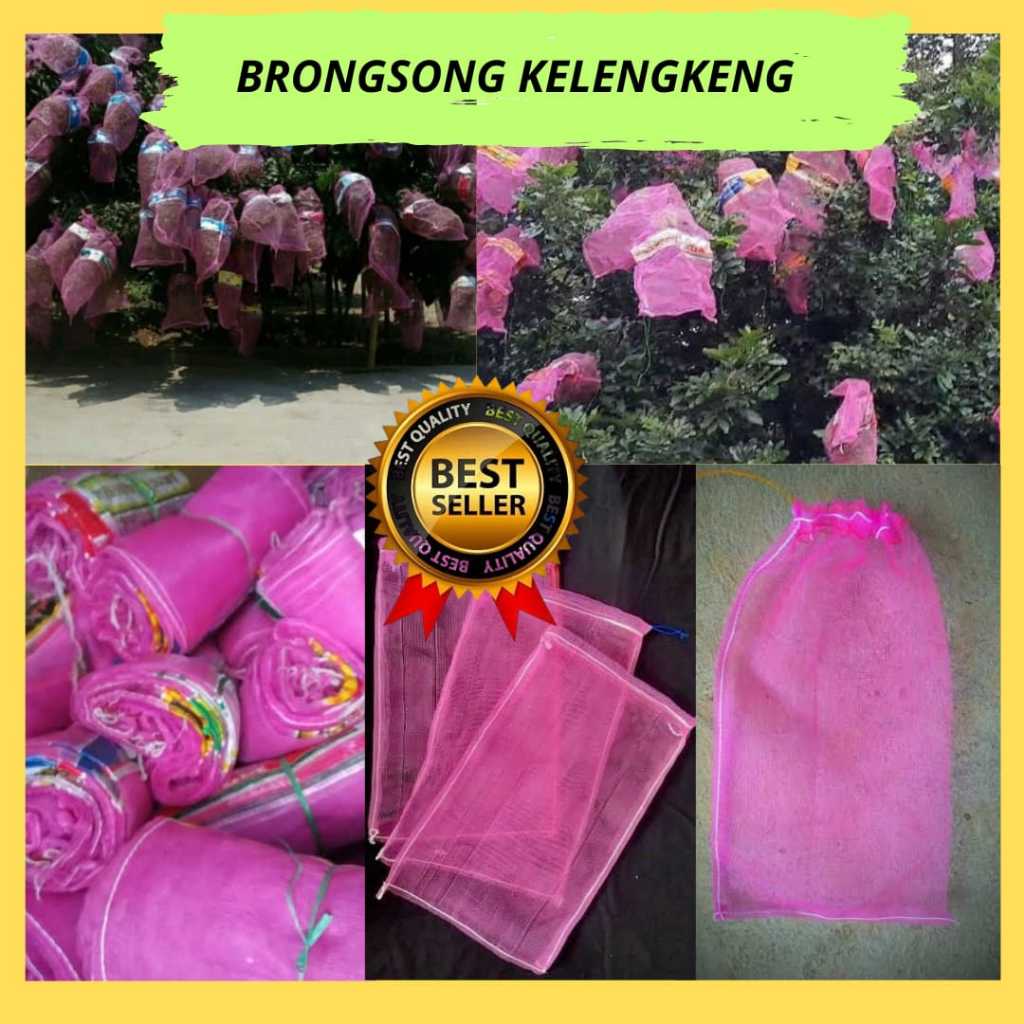 Brongsong buah kelengkeng, Brongsong kelengkeng dengan tali, Brongsong  kelengkeng bekas