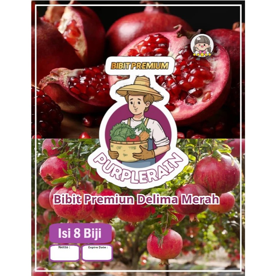 Bibit Premium Delima Merah | Benih Delima Merah | Bibit Buah Delima