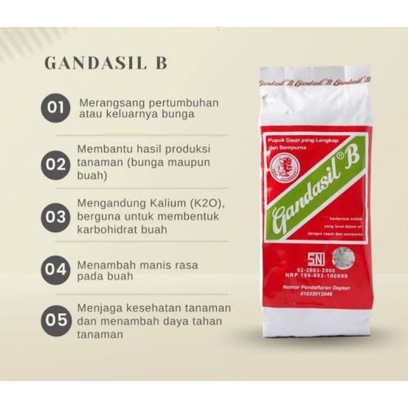 Gandasil B 500 gr Original