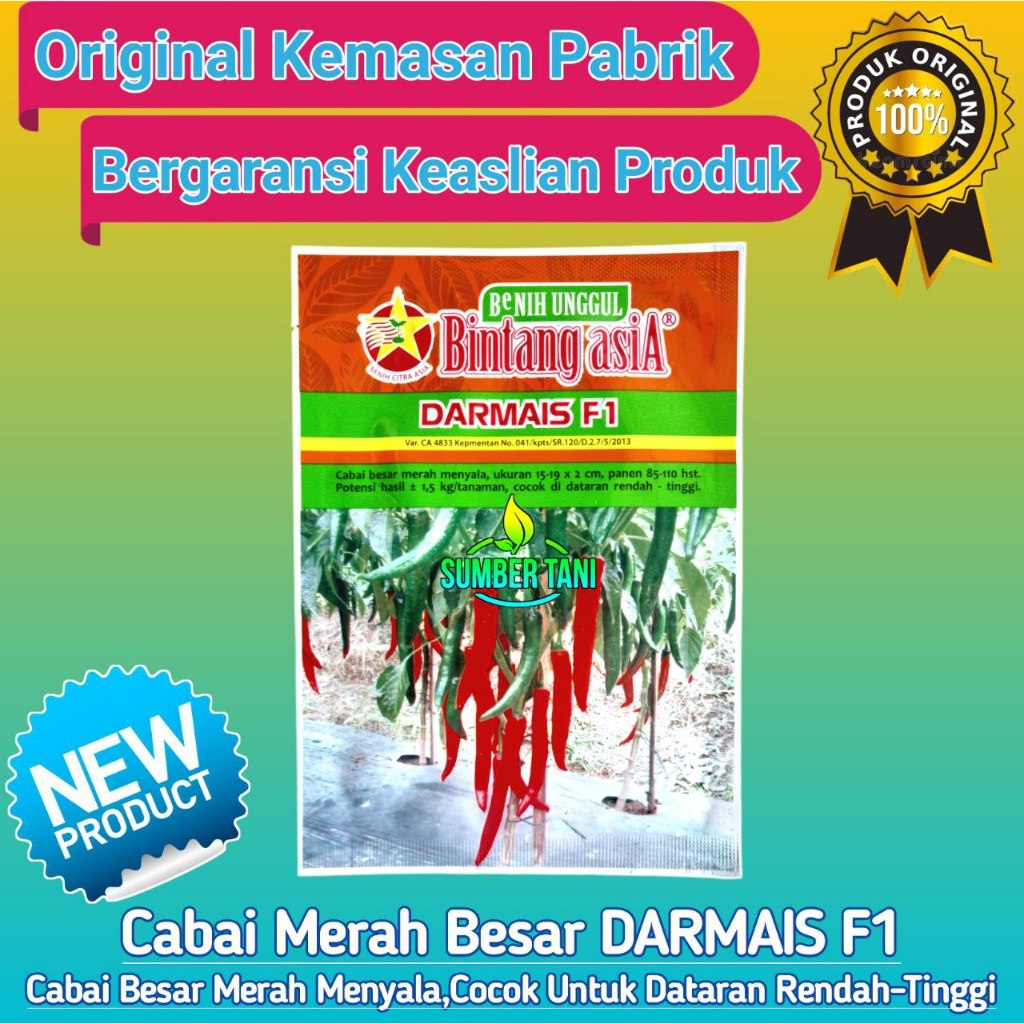 Benih Cabai Besar | Darmais F1 | 10 grm | CABE BESAR HIBRIDA