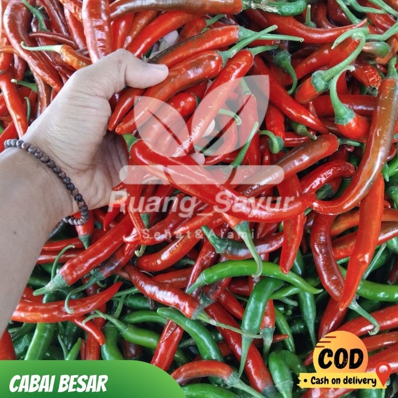 

Cabai Merah Besar , Cabai Merah Besar 500 Gram, Cabe Besar