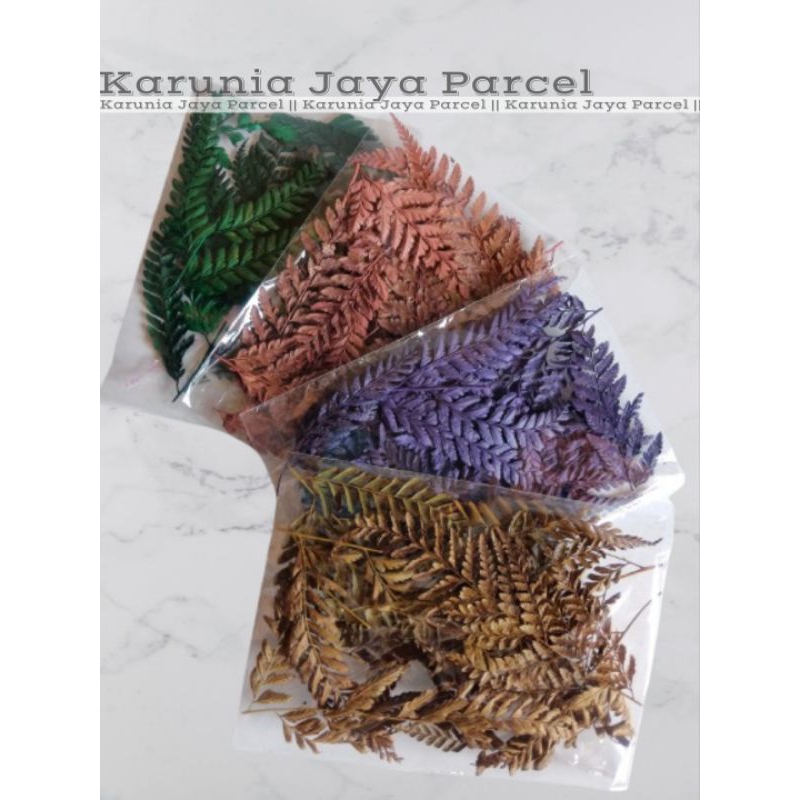 

Daun pakis kering acecoriss parsel buah