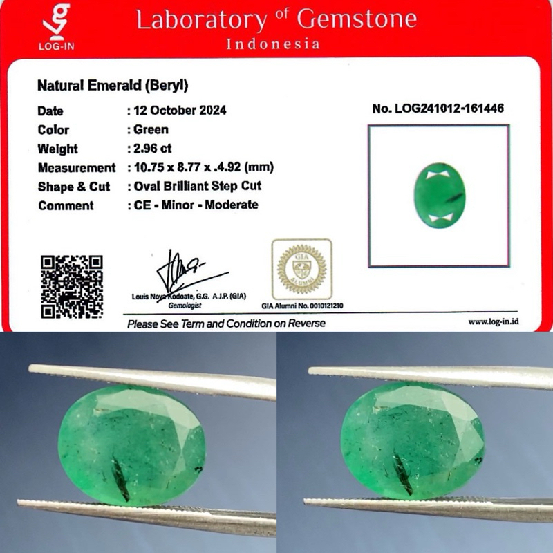 Natural Zamrud Emerald Beryl 2,96 ct Memo LOGIN