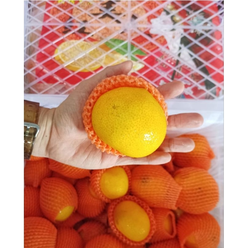 

Jeruk Kupas tanpa biji Sino Aiyuan 1 kardus 9 kg