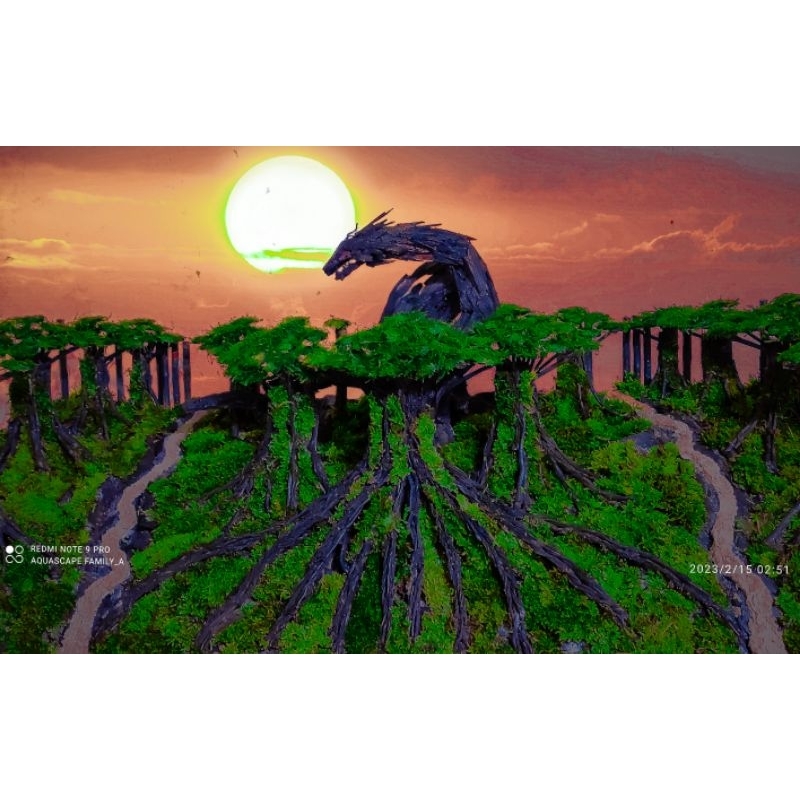 Hardscape jungle dan naga  aquascape siap pakai  buat tank 100.40.40.cm sudah diplanting mossjava