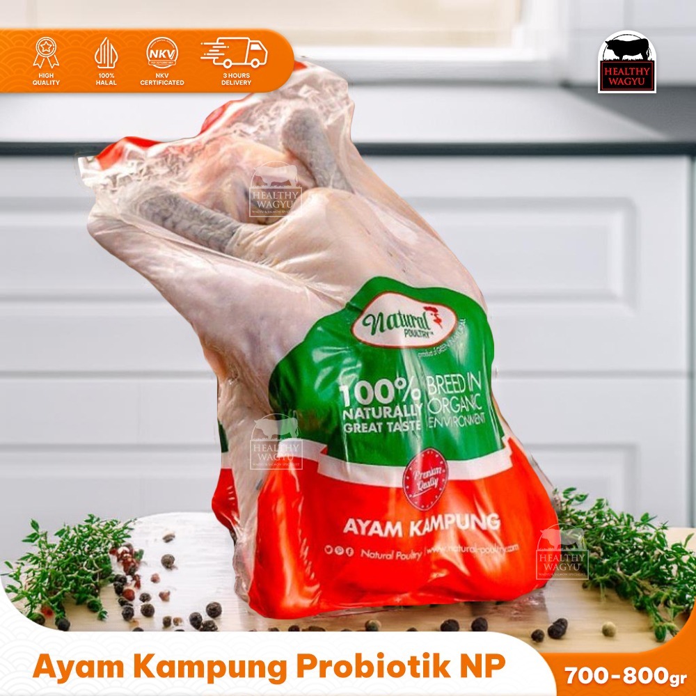 

Ayam Kampung Probiotik Natural Poultry 700-800gr Healthy Wagyu