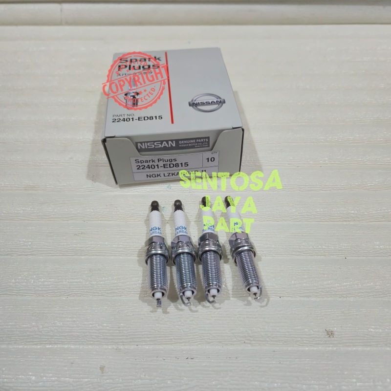 BUSI LIVINA EVALIA LATIO ASLI IRIDIUM 1PC