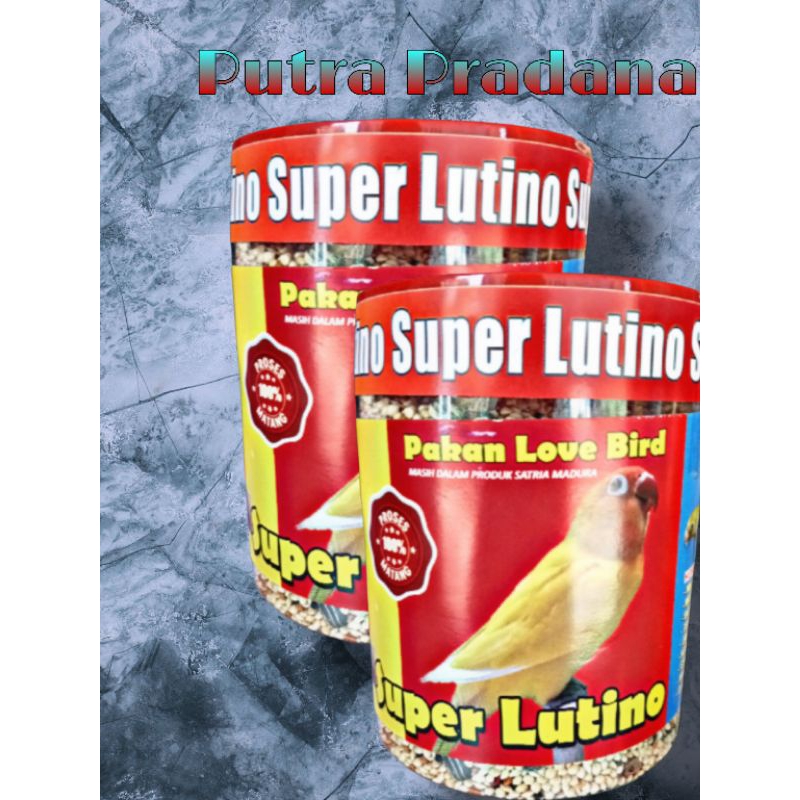 SUPER LUTINO PAKAN BURUNG LOVE BIRD