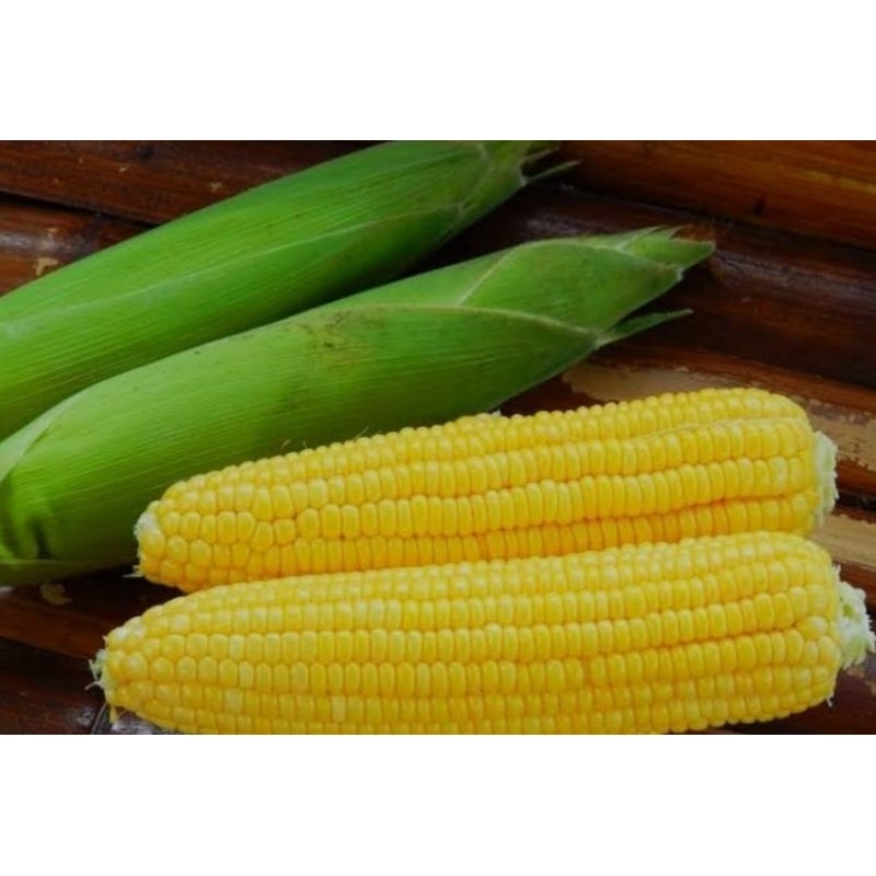 

jagung manis/1 biji
