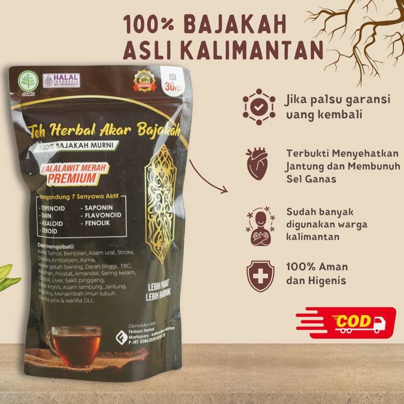 

Teh Bajakah Asli Kalimantan Kualitas Terbaik Original 100%