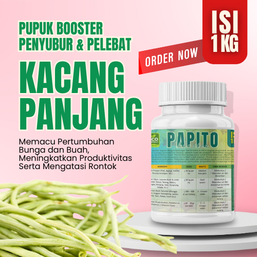 Pupuk Kacang Panjang Berbuah Lebat Booster Pelebat Buah Kacang Panjang Penyubur Tanaman Anti Hama