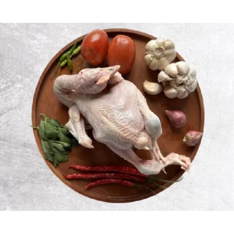 

Ayam kampung fresh 1 ekor..