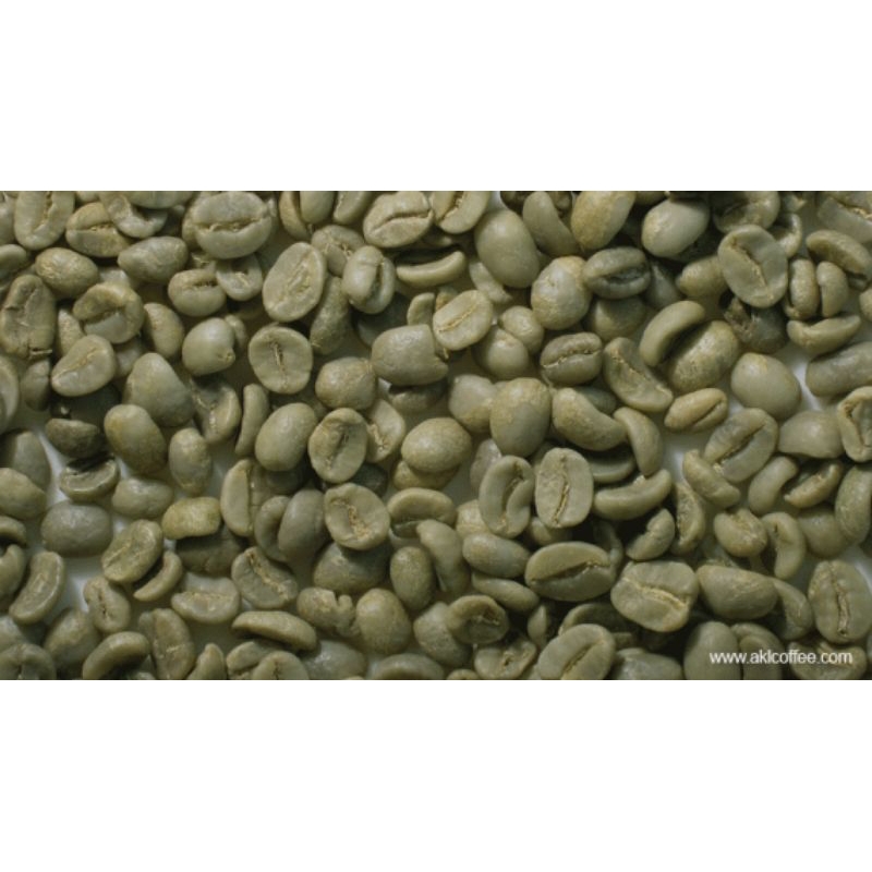 

Green Bean Biji Kopi Robusta Bengkulu 500 gr