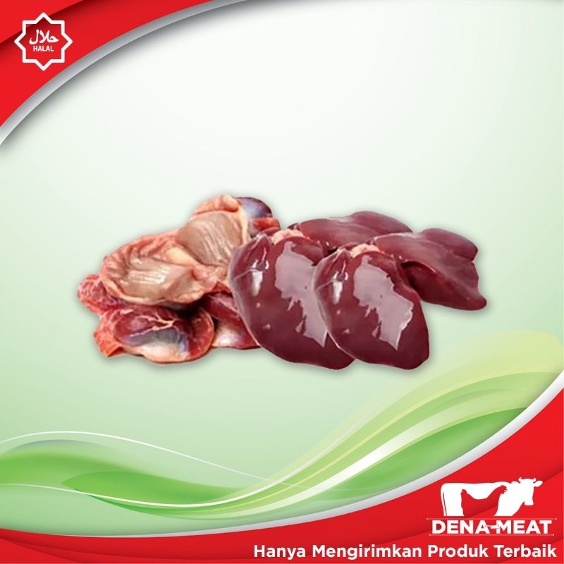 

HATI AMPELA AYAM BROILER