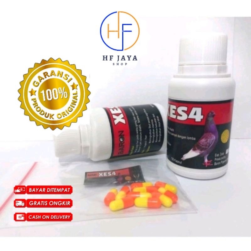 jamu merpati Baron xes4