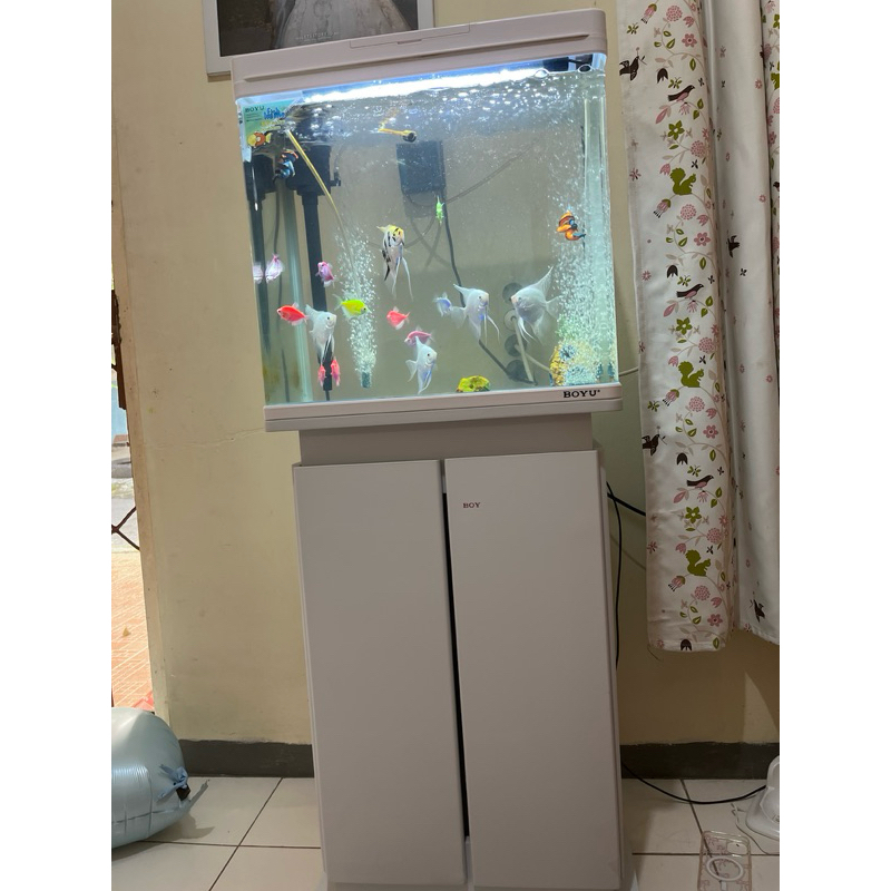 preloved Ace Boyu 45 ltr Set Aquarium & Kabinet Ms-520M - Putih Dekorasi Rumah Wadah Ikan Aquarium C