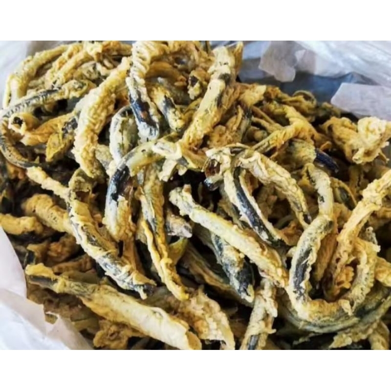 

Belut krispi enak, gurih, renyah 1kilo (keadaan mentah)