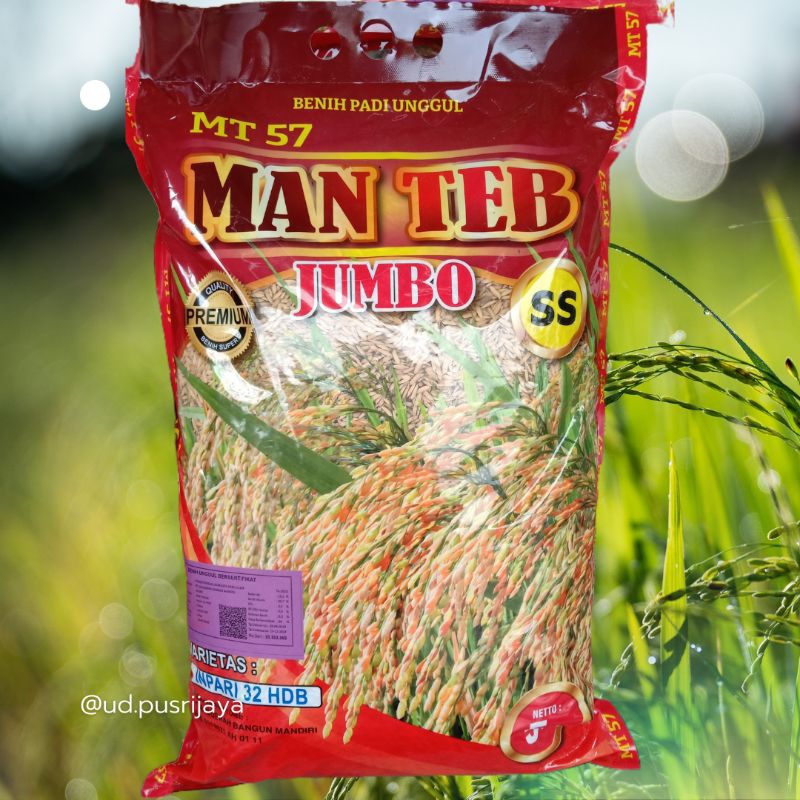 Benih Padi JUMBO PREMIUM INPARI 32 MANTEB Kemasan 5KG