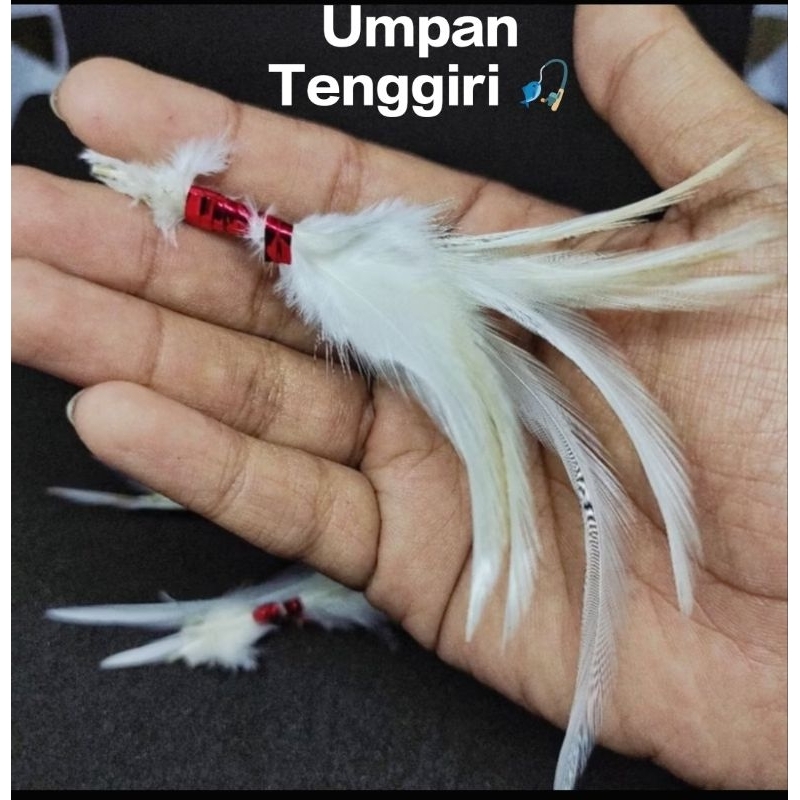 Umpan Bulu Ayam dan Bulu mutiara Umpan Pancing Umpan tenggiri