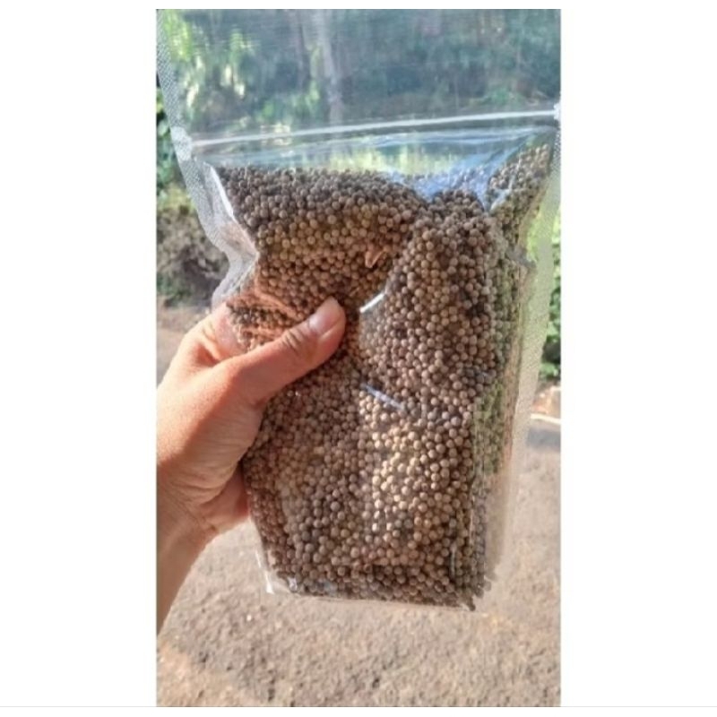 

100 GRAM BIJI LADA PUTIH ASLI DI JAMIN PEDAS