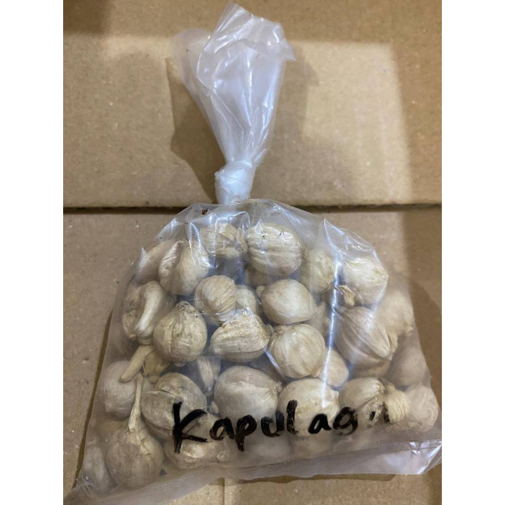 

Kapulaga (pack 20g)