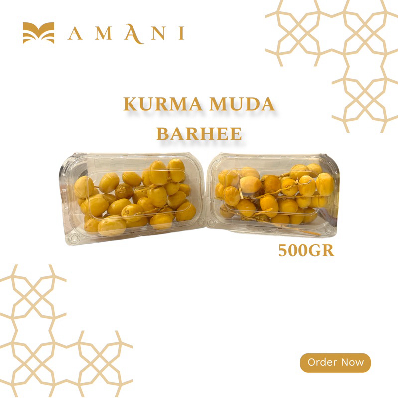 

Kurma Muda Barhee 500GR