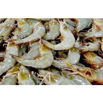 

Udang api api 250 gr