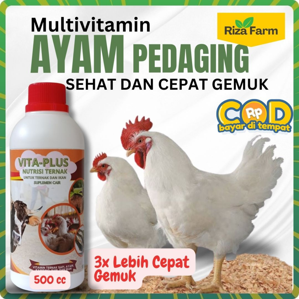 vitamin ayam kampung cepat besar | Vitamin Penggemuk Ayam | Obat Ayam penambah nafsu makan ayam