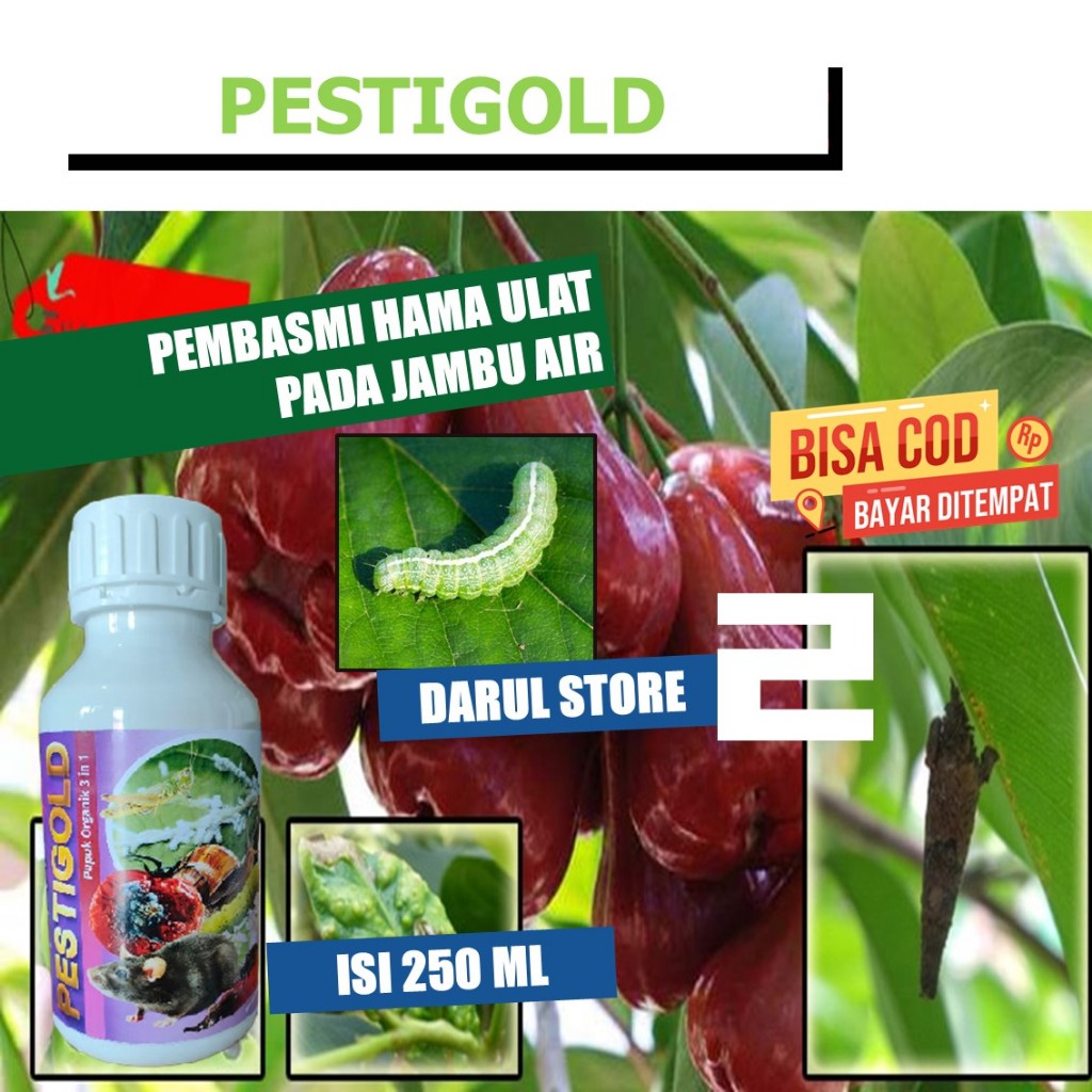 Pestisida Hama 250 ml Jambu Air PestiGold Mengatasi Ulat Jambu Air Paling Laris, Pupuk Semprot Jambu