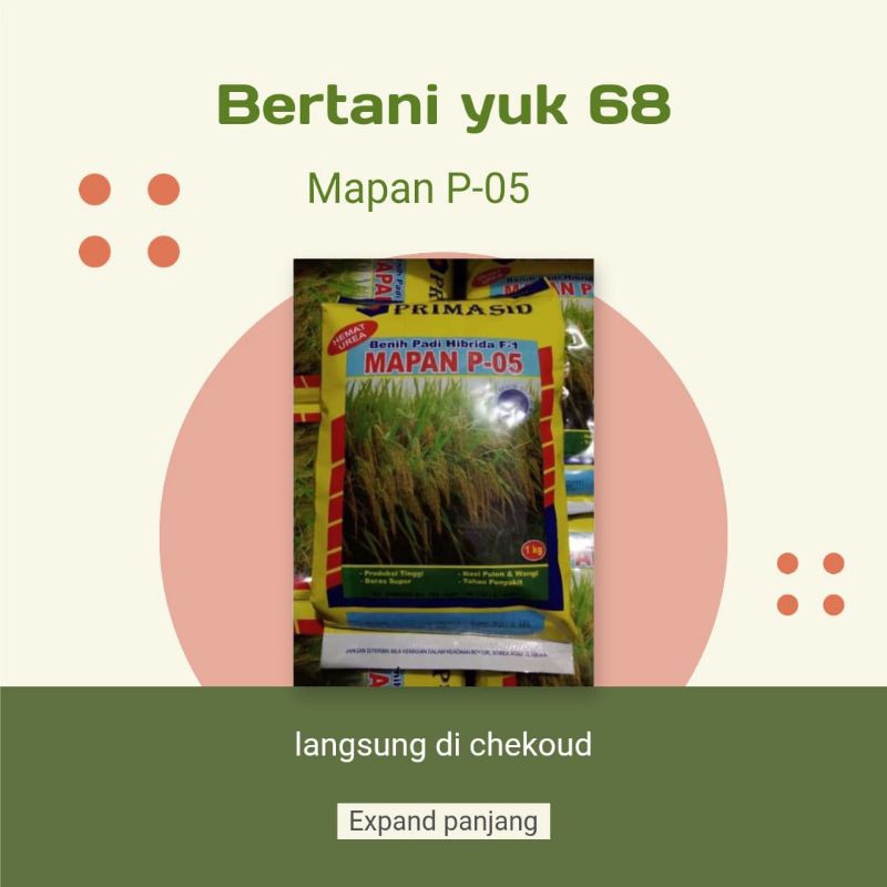 BENIH PADI MAPAN 05