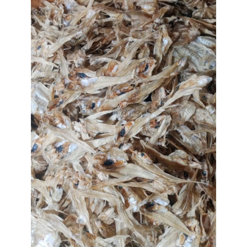 

IKAN BULU AYAM TAWAR