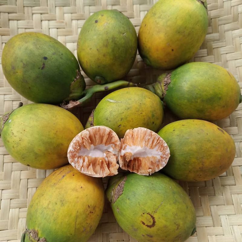 

buah pinang super kaya sumber manfaat 1kg