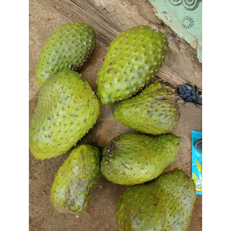

buah sirsak