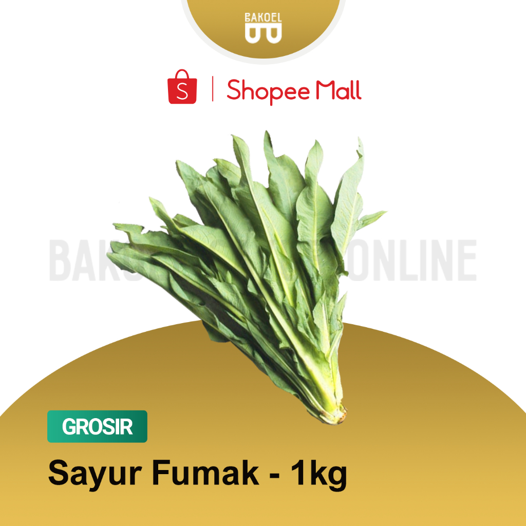 

Sayur Fumak Fresh - Grosir 1 Kg