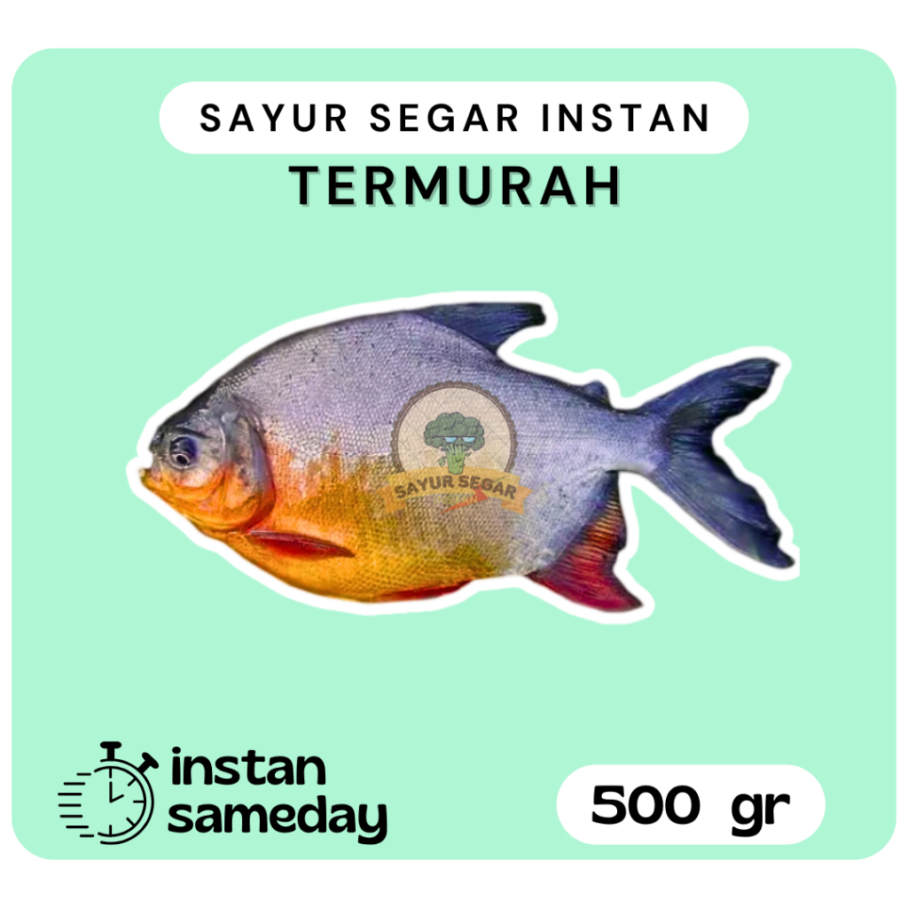 

Ikan Bawal 500gram - Sayursegarinstan