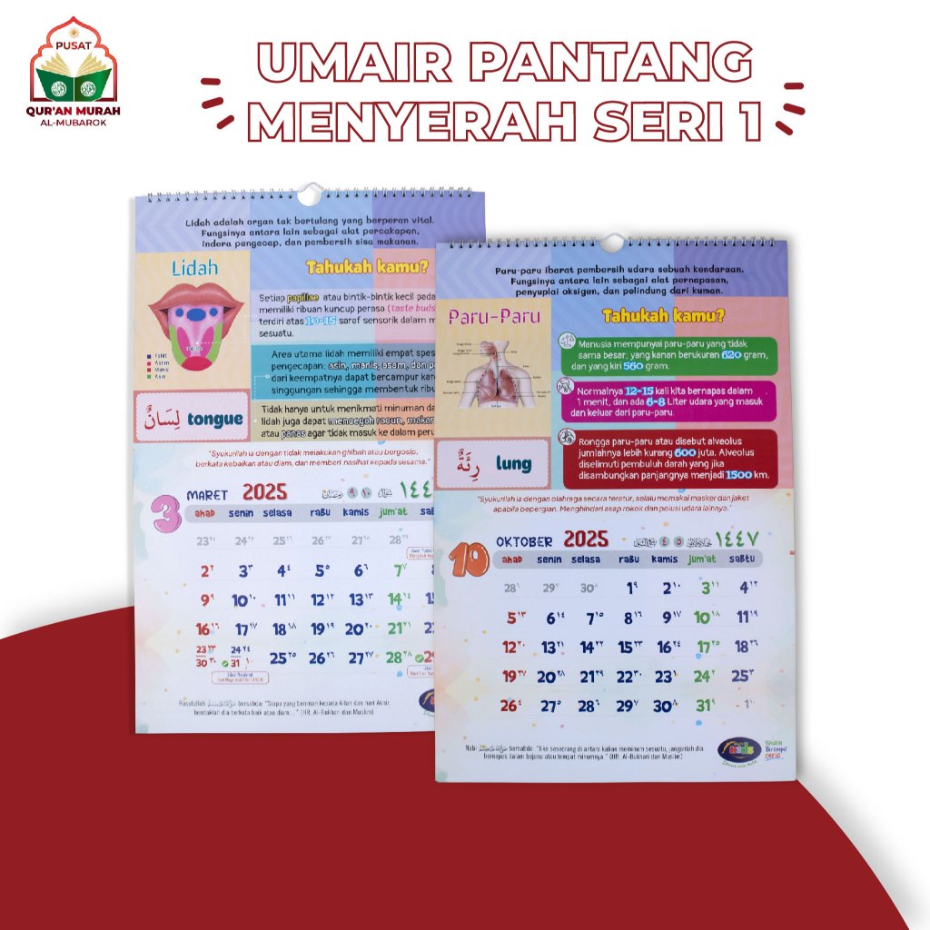 

Kalender Islami 2025 Kalender Anak Anggota Tubuh Kalender Islami 2025, Kalender Hijriyah Murah