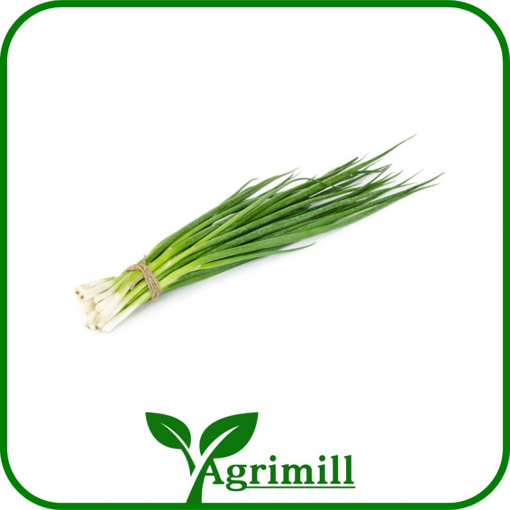

Daun Bawang Kecil | Daun Sop | Blalo Fresh