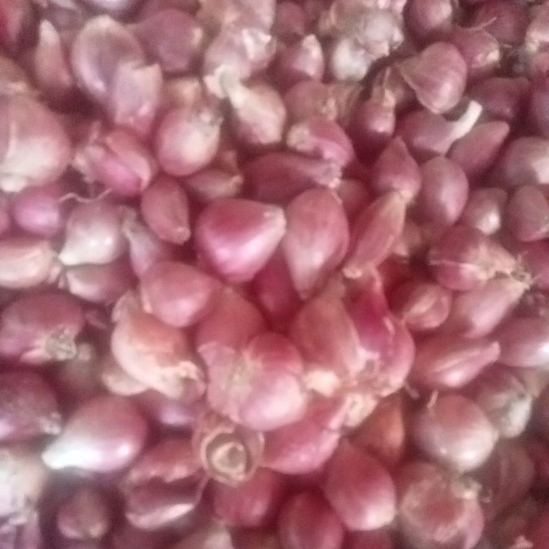 

bawang merah jawa /brambang merah 500gram