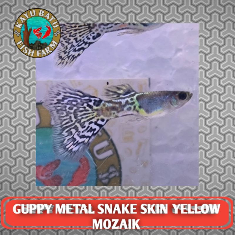 LUKISAN..1KAN..GVPPY..METAL..SNAKE..SKIN..YELLOW..MOZAIK