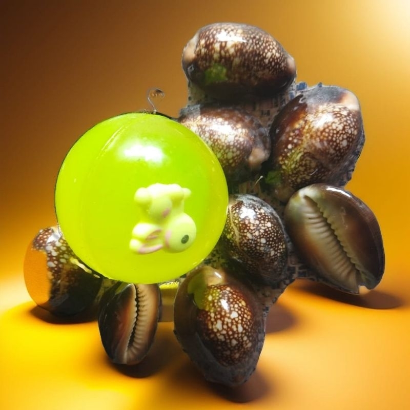 beklen set 10pcs/bola besar baklen dan kerang hitam .kuwuk hitam isi 10pcs.kerang bekel/encrak