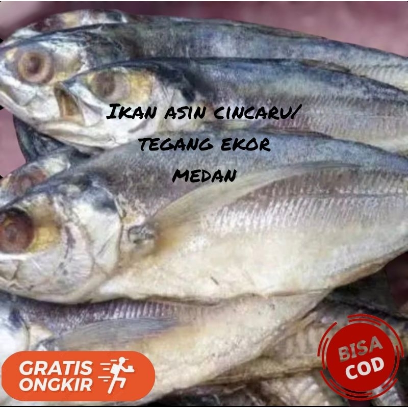 

Ikan Asin Cincaru / tegang ekor Medan 500gr