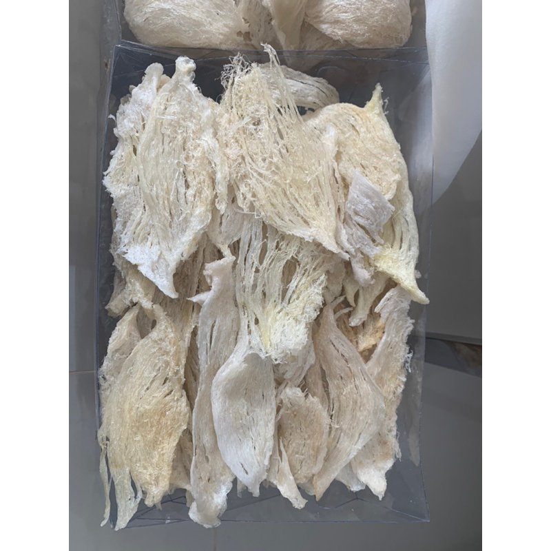 

SARANG BURUNG WALET PATAHAN BELANG